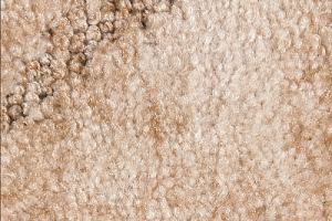 Ковролин Associated Weavers Tango 30 фото  | FLOORDEALER